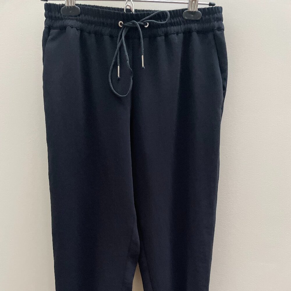 Aritzia Wilfred Pants